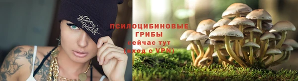 скорость Алексеевка