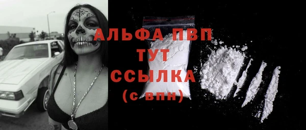 молекула духа Арсеньев