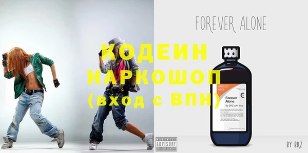 молекула духа Арсеньев