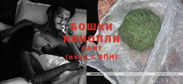 молекула духа Арсеньев
