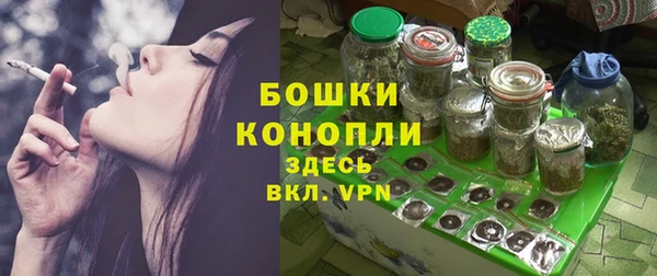 молекула духа Арсеньев