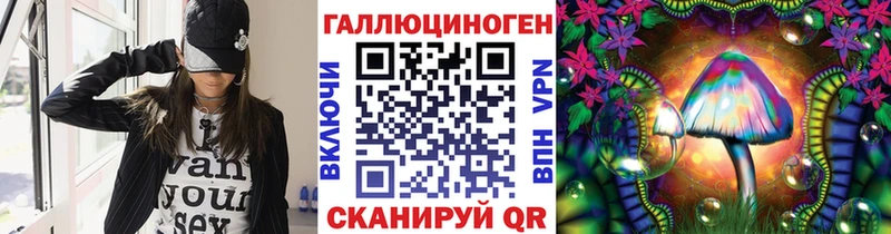 Купить  Сураж  Псилоцибиновые грибы GOLDEN TEACHER 